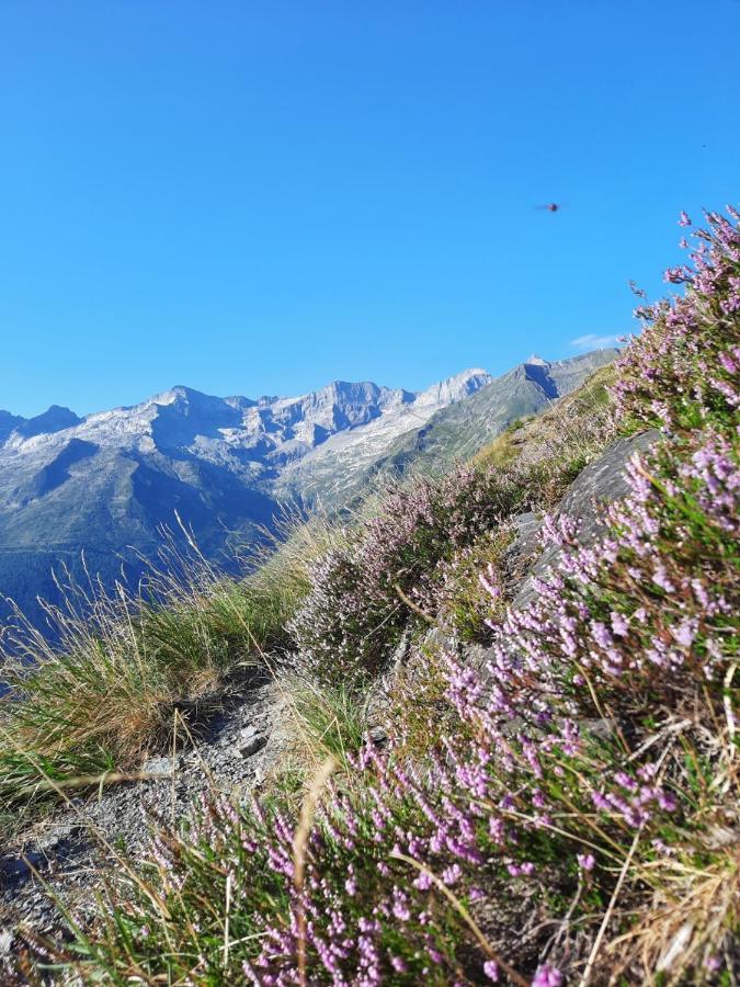 Plein Sud Saint-Aventin Exterior foto